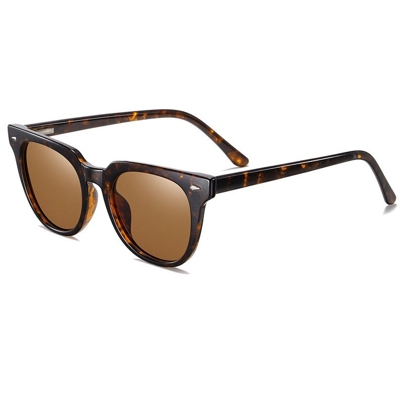 Large Frame Sunglasses