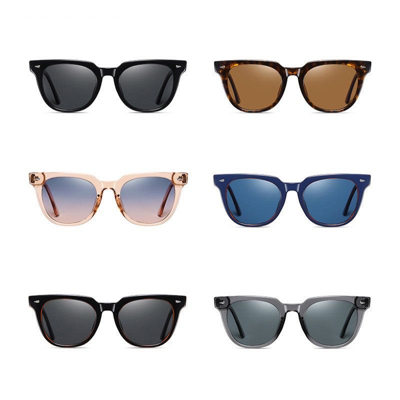 Large Frame Sunglasses